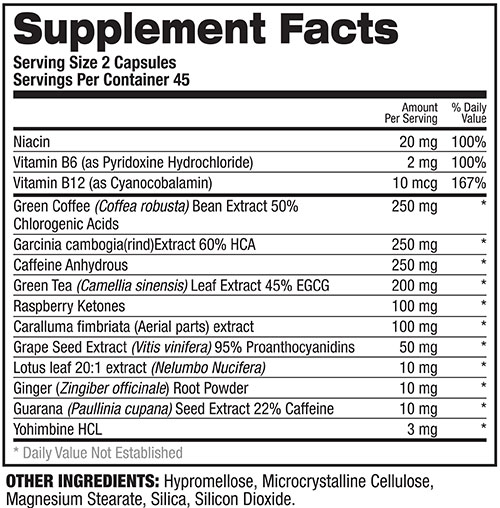 Ab Igniter Supplement Facts