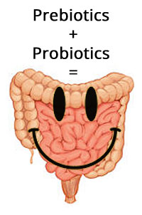 probiotics prebiotics