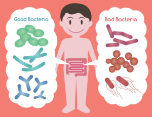 probiotics