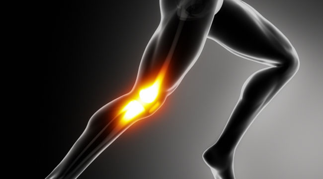 leg day workout knee-pain