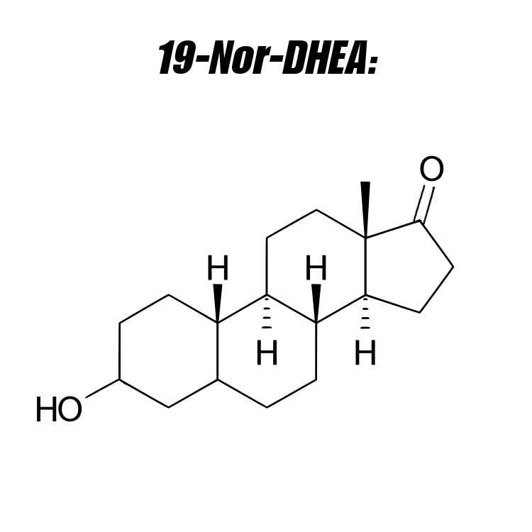 pro hromones 19-nor-dhea