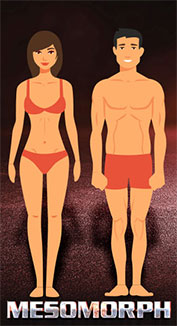 Mesomorph body type