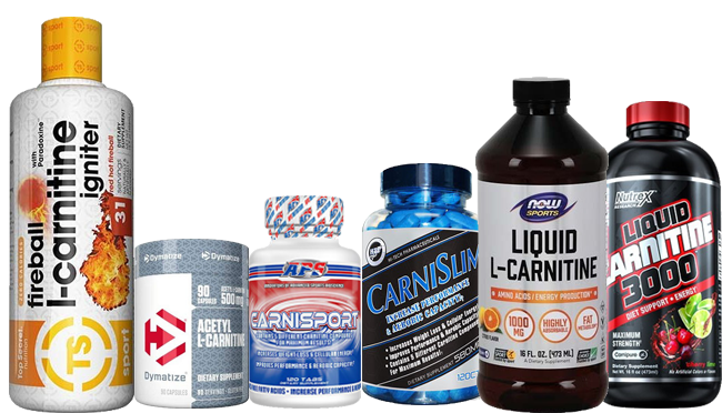 Lcarnitine best fat burner