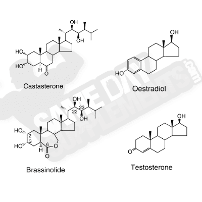 plant-hormone-vs-mammal-hormone laxo
