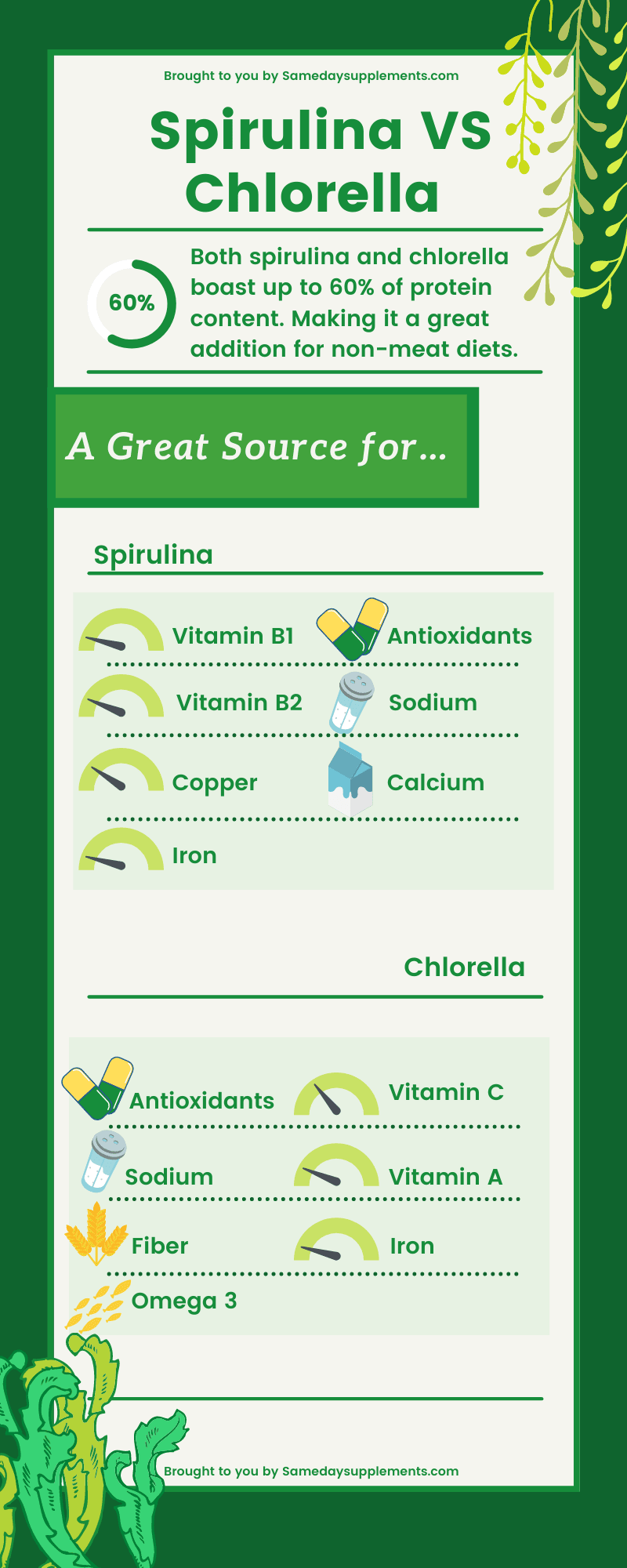 Spirulina VS Chlorella