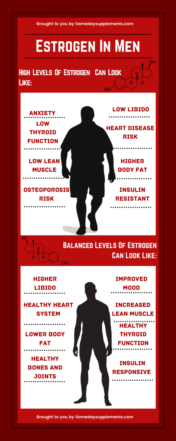 Best Anti Estrogen Supplements For Men Review