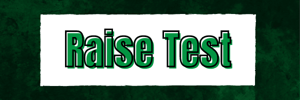 Section Raise Test