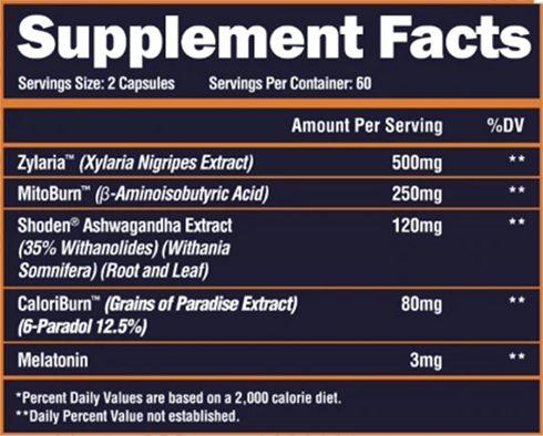 Alpha Lion Night Burn Supplement Facts Image