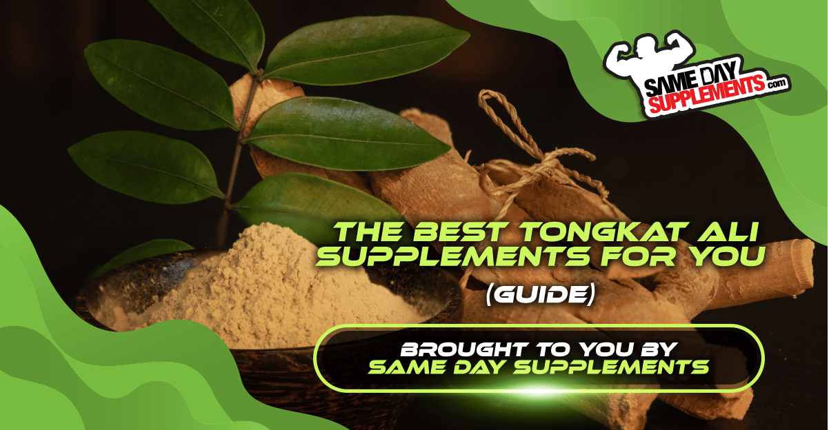 The Best Tongkat Ali Supplement For You in 2023 (Review)