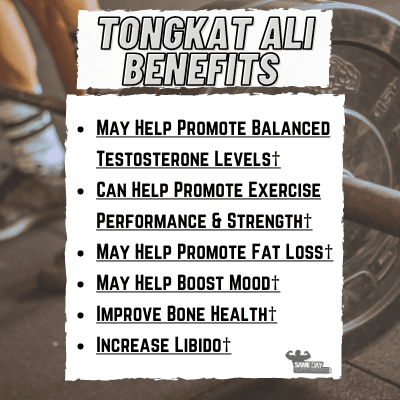 TongKat Ali Benefits