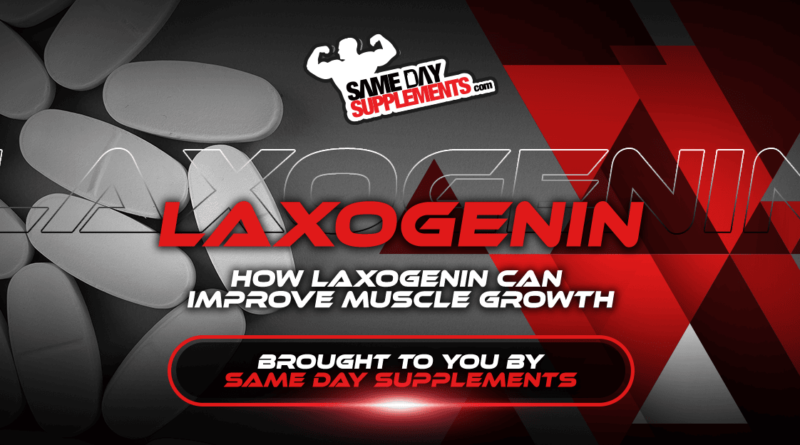 How Laxogenin Can Improve Muscle Growth