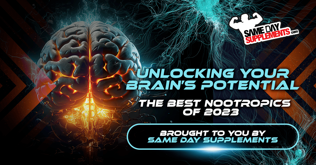 Unlocking Your Brain's Potential: The Best Nootropics of 2023