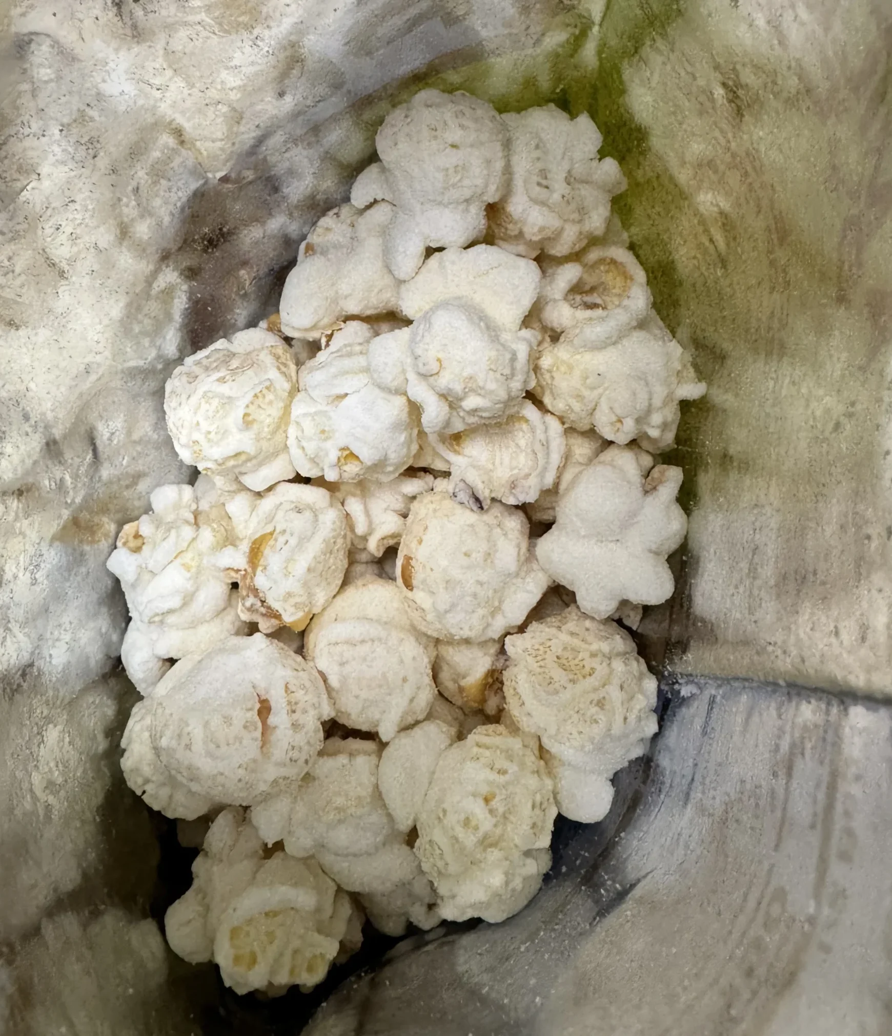 Bucked Up Popcorn WC in bag Bucked Up Popcorn WC in bag