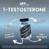 Hi-Tech Pharmaceuticals 1-Testosterone Benefits Image