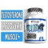 Anavite XT - Gaspari Nutrition - 90 Tablets Bottle Image