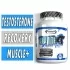 Anavite XT - Gaspari Nutrition - 90 Tablets Bottle Image