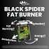  Black Spider Fat Burner Benefits Image