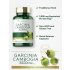 Carlyle Garcinia Cambogia Benefits Image