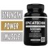 Dorado Nutrition Epicatechin Extract - 500 mg - 60 Capsules Bottle Image