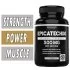Dorado Nutrition Epicatechin Extract - 500 mg - 60 Capsules Bottle Image