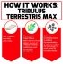 Force Factor Tribulus Terrestris Max How It Works Image