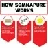 Somnapure by Force Factor - 60 Tablets How It Works Image