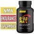 GO2 Max - HTLT Supps - 40 Capsules 