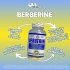 Hi-Tech Pharmaceuticals Berberine Benefits Image