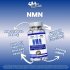 Hi-Tech Pharmaceuticals NMN Benefits Image