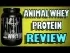 Animal Whey Protein Review By Universal Nutrition