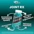 Joint Rx Benefits Image