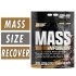 Nutrex Mass Infusion Mass Gainer