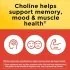 Nature Made Choline Benefits