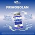Primobolan Benefits Image