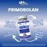 Primobolan Benefits Image