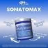 Hi-Tech Pharmaceuticals Somatomax Benefits Image