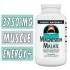 Source Naturals Magnesium Malate - 360 Tablets Image