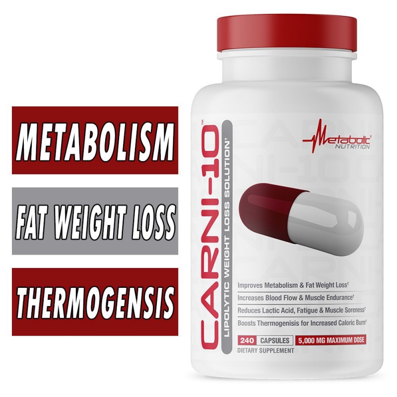sta je l carnitine Carnitine main image 1