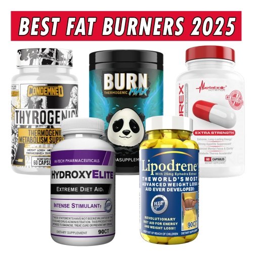 Best Fat Burners of 2025 Image