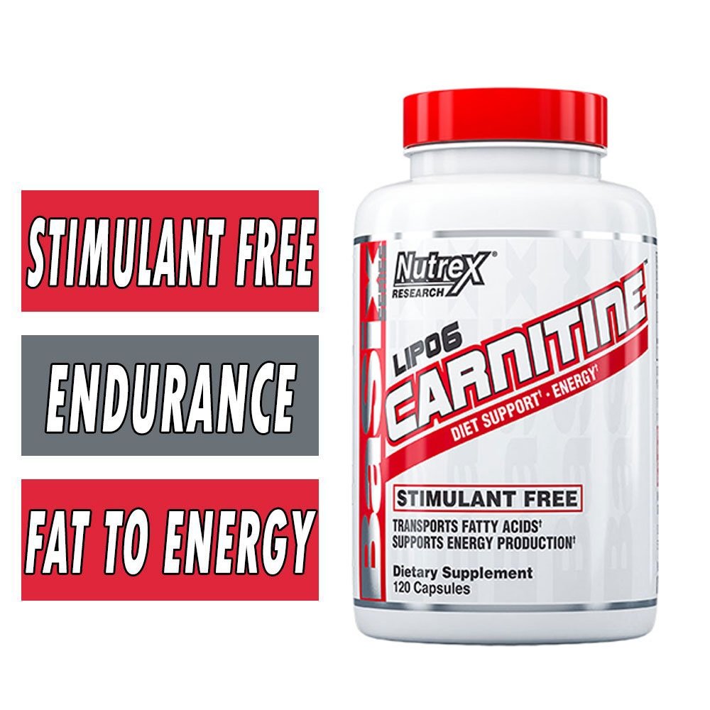 lipo l carnitine Lipo 6 Carnitine | Nutrex