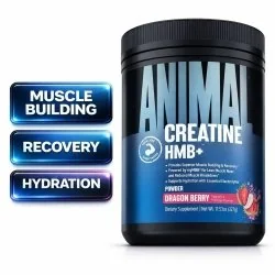 Animal Creatine HMB+ Powder 