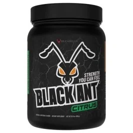 Black Ant Pre Workout - Citrus - 40/20 Servings