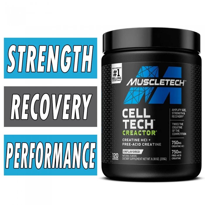 Cell-Tech Creactor Creatine | MuscleTech | Muscle Builder