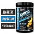 Amino Charger Hydration By Nutrex