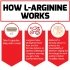 Force Factor L-Arginine How It Works Image