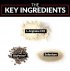 Force Factor L-Arginine Key Ingredients Image