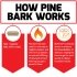 Force Factor Pine Bark How It Works Image