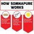 Somnapure by Force Factor - 60 Tablets How It Works Image
