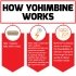 Force Factor Yohimbine How It Works Image