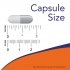 NOW Bacopa Extract Capsule Size Image